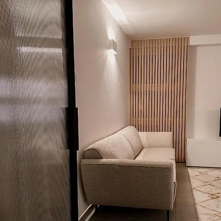 Karel 布兰肯贝赫