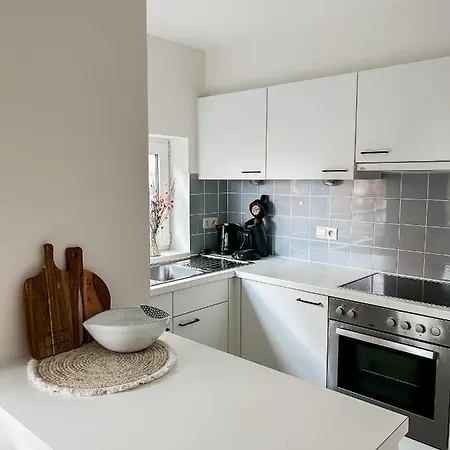 Karel * 布兰肯贝赫